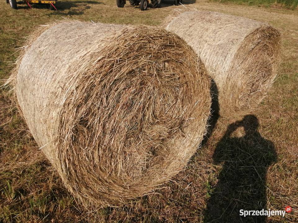 Siano Bochnia sprzedam