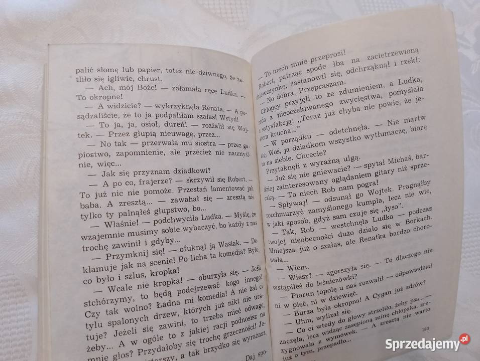 Książka WAKACJE W BORKACH Jadwiga Korczakowska