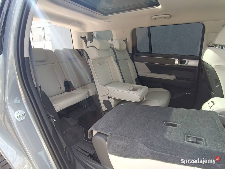 Hyundai Santa Fe Platinum Sun Tech 215 hybryda zachodniopomorskie Szczecin