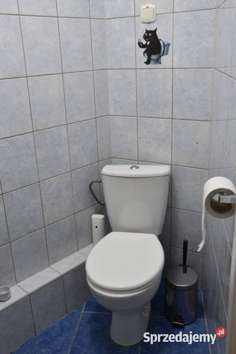 do wynajęcia pokój w centrum Wrocławia dolnośląskie Wrocław