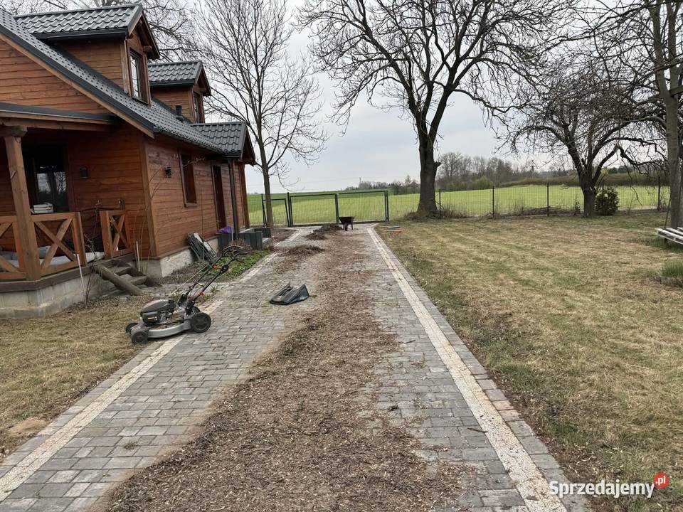 Koszenie trawników i utrzymanie terenów Kotuń