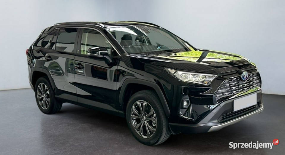 Toyota RAV4 Executive 4X4 222 Hybryda Systemy