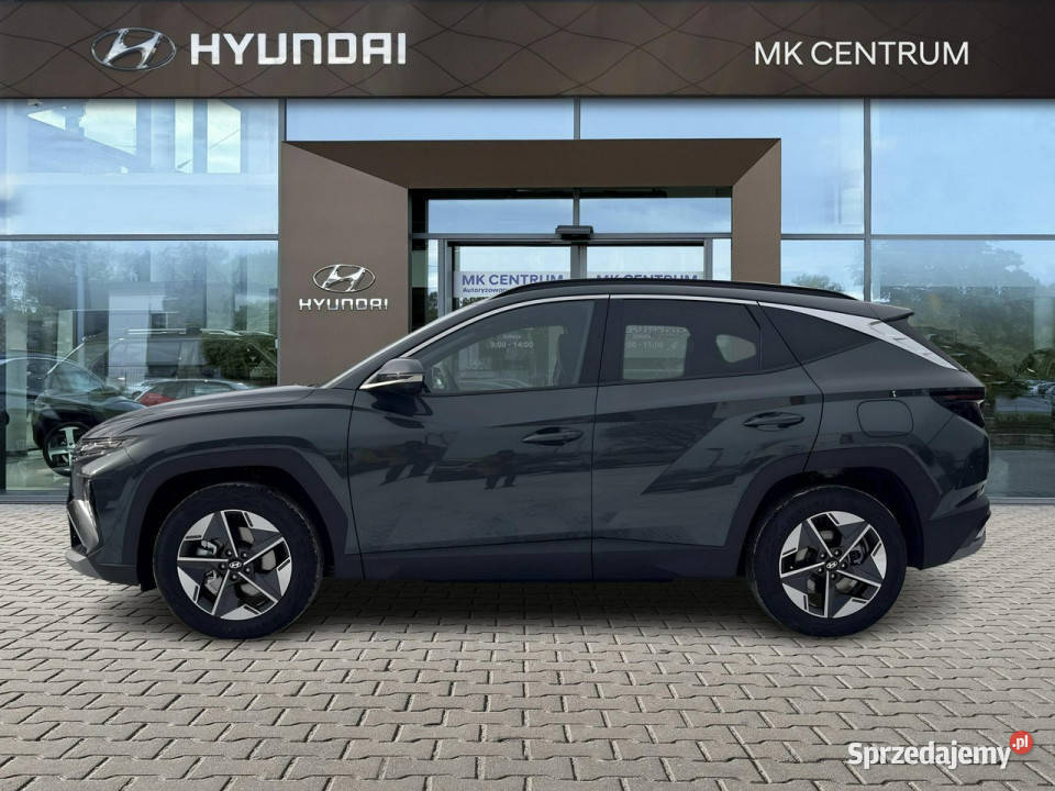 Hyundai Tucson Executive Comfort RÓŻNE KOLORY 16 Piotrków Trybunalski