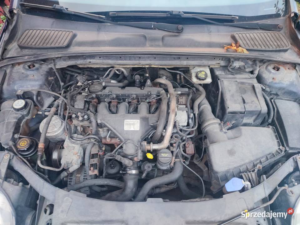 Mondeo na części Gostynin