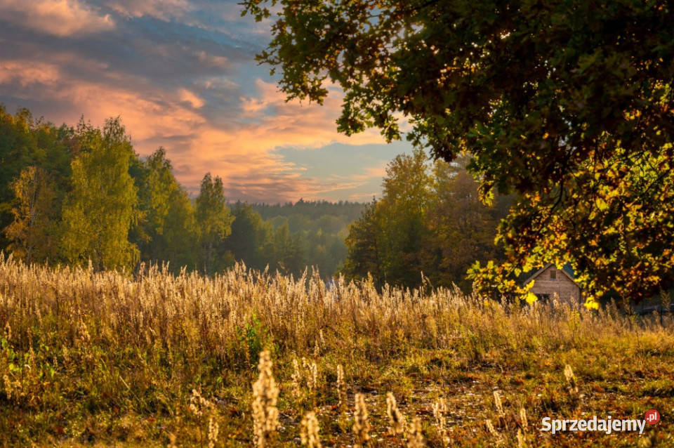 Prywatne Wzgórze Morenowe Panorama i Cisza w Jeziórka