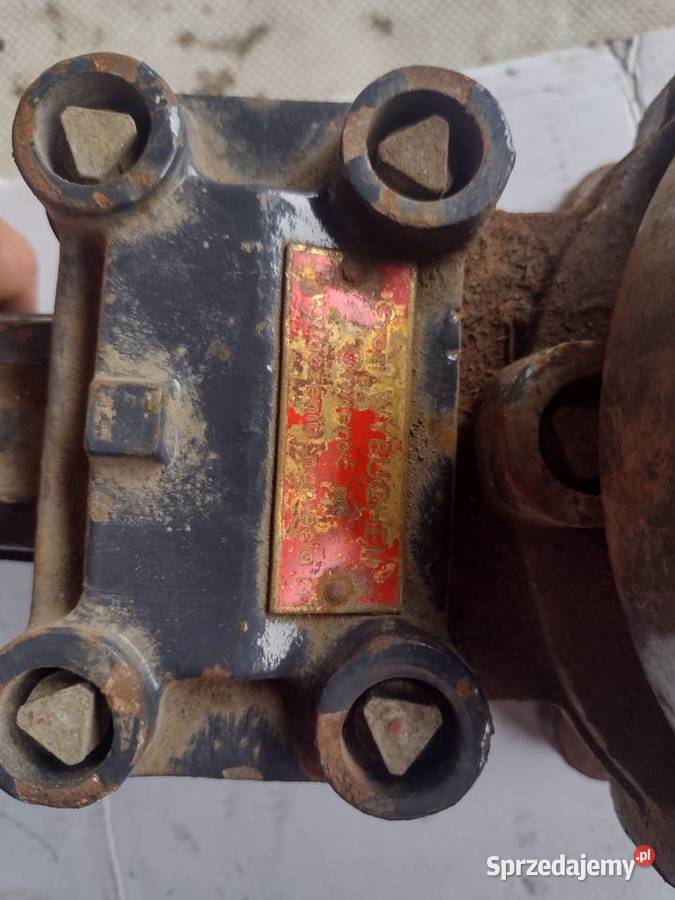 Dzwonek grzechotkowy Gołcza