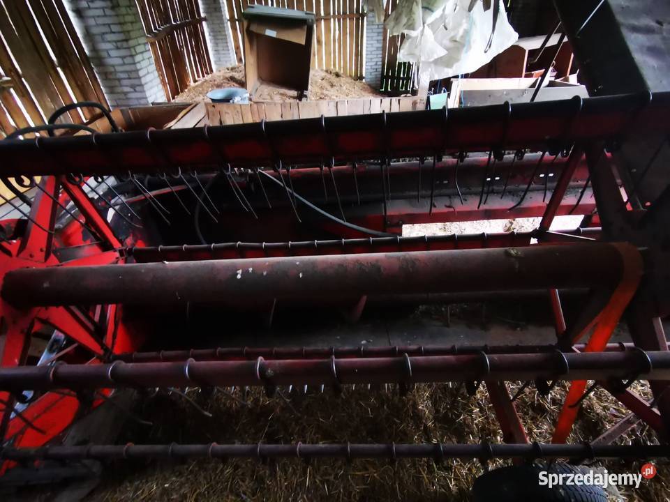 Bizon Z056 Ratoszyn Pierwszy