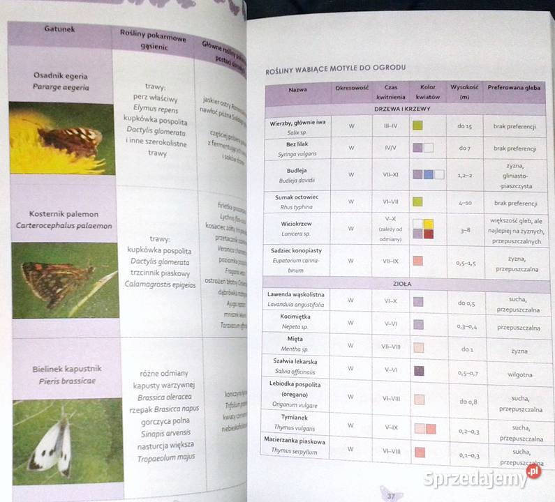 Ogród ostoja zwierząt J Niewolewska Sadownik K Chełm