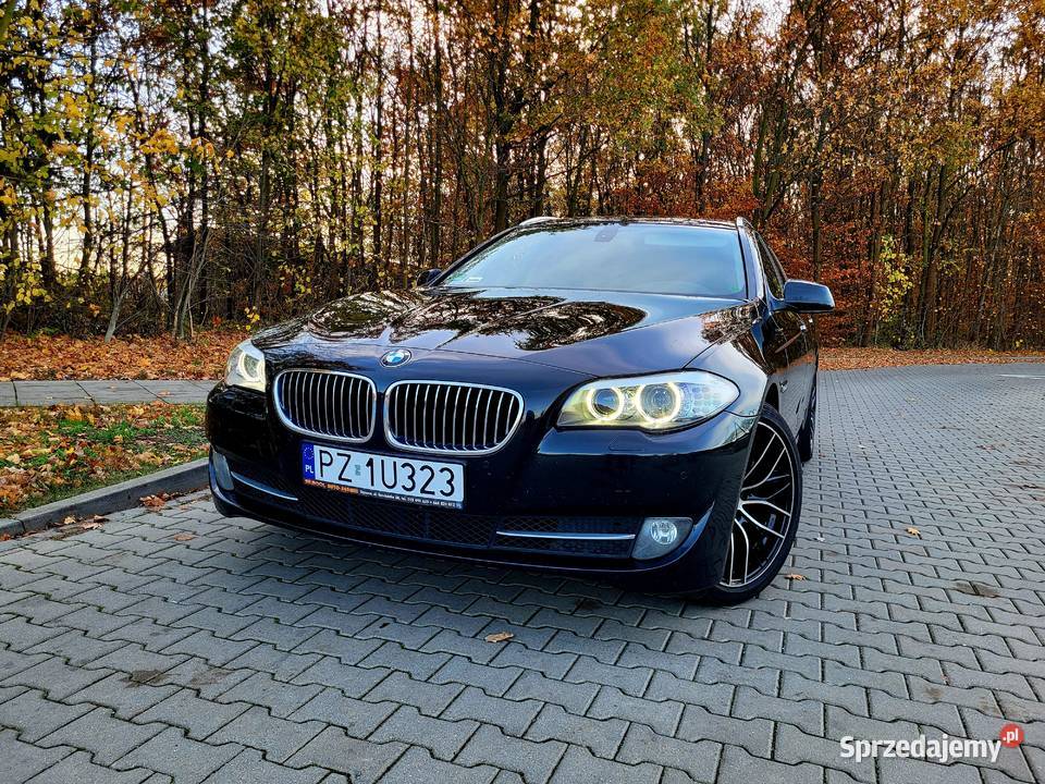 BMW 520d F11 2012r Panorama hak serwis Stęszew