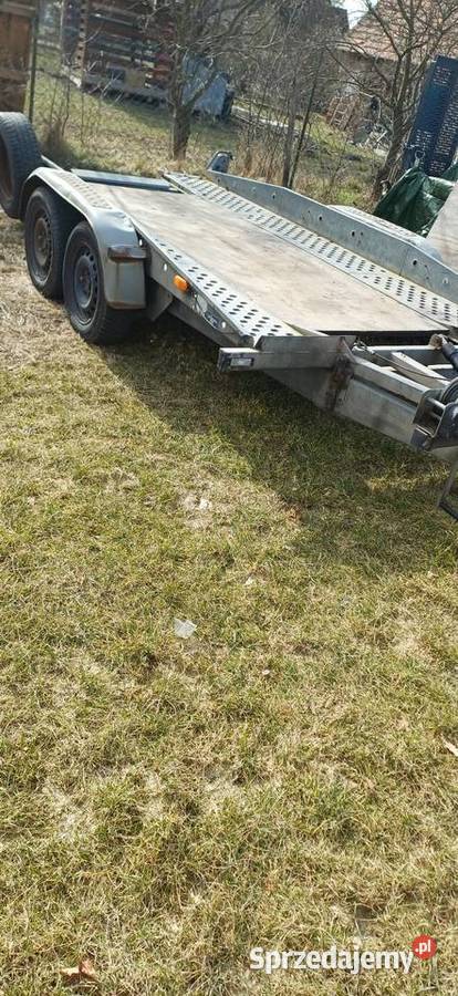 Usługi transportowe pojazdykoparki maszyny Transport towarów Wołów