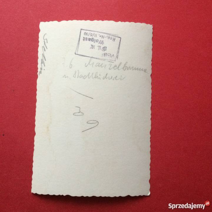 Komplet fotografii Szczecin