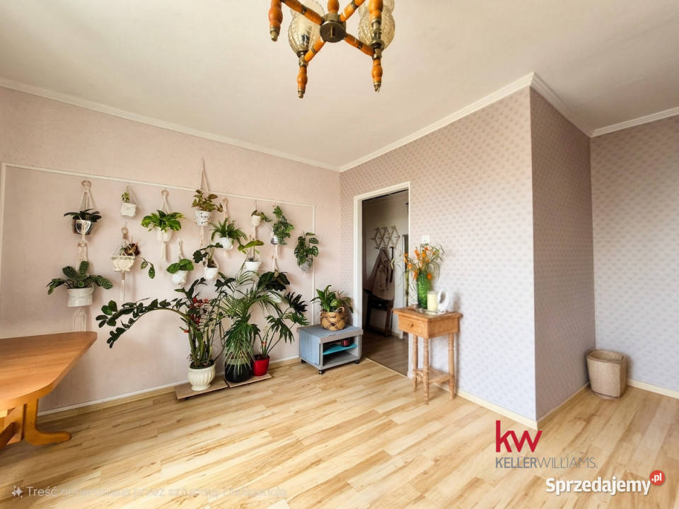 sprzedaży mieszkania 332m2 1pokojowe Poznań wielkopolskie