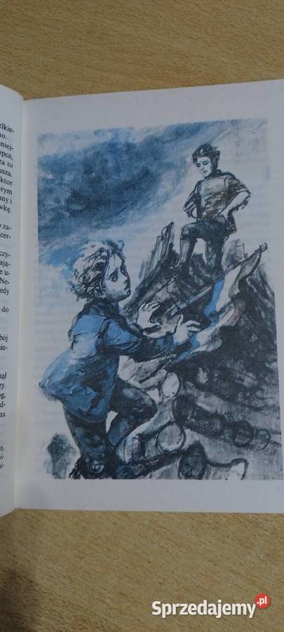 Chłopcy z placu broni Ferenc Molnar Lublin