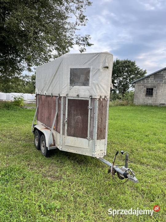 Przyczepa do koni Sierakowice sprzedam