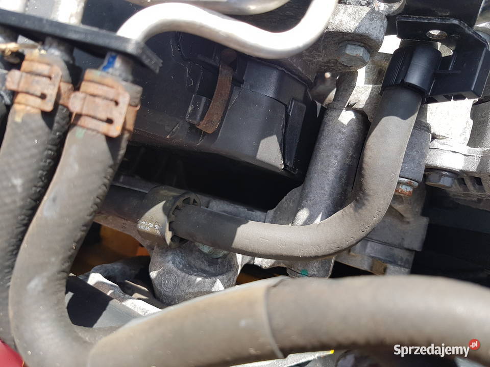 VW CADDY GOLF V 19 SDI 69 SILNIK BST MOTOR Turkowice