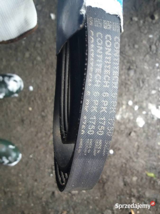 Pasek Contitech 6pk 1750 Elementy napędu Lubań sprzedam