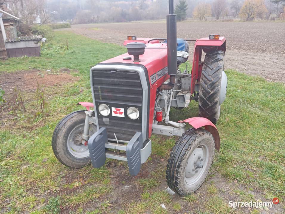 Massey Ferguson 255 Bobowa