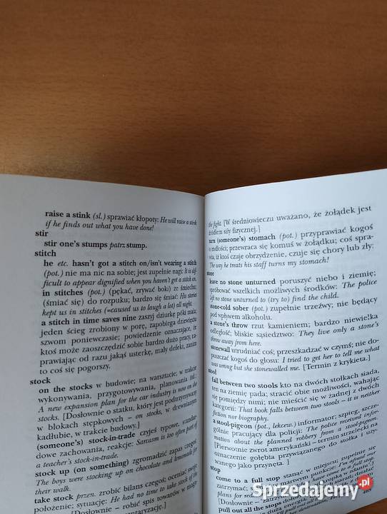 SŁOWNIK idiomów angielskich Philip Wilson angielski wielkopolskie Złotniki