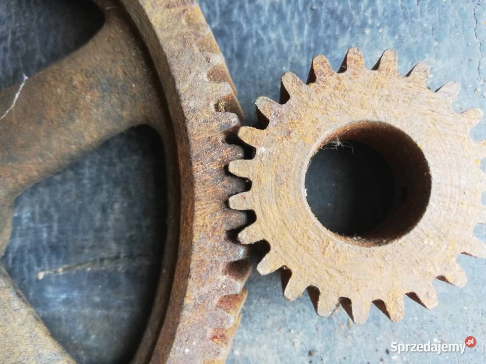 Koła zębate Dąbie
