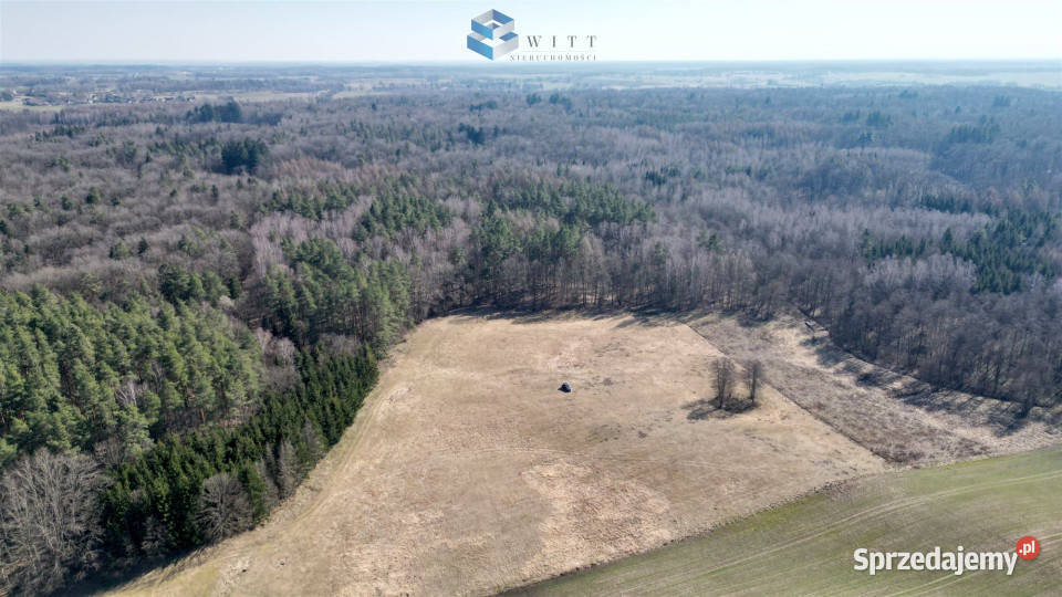 Działka Jędrychówko 7979m2