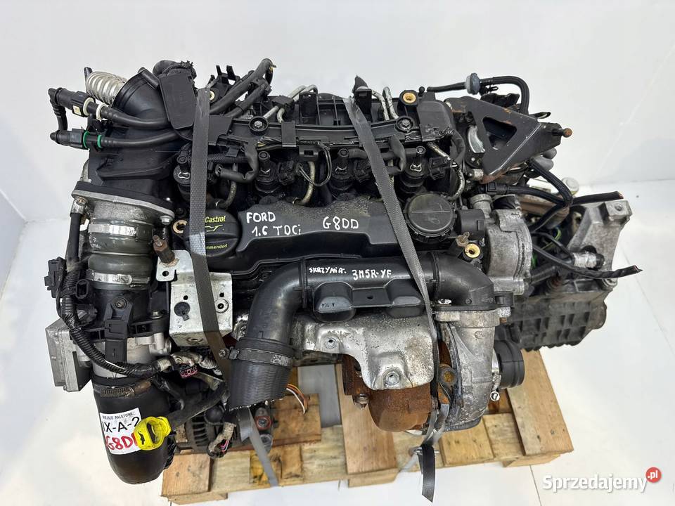 SILNIK KOMPLETNY G8DD Ford Focus II MK2 C C 16 osobowe Chełm