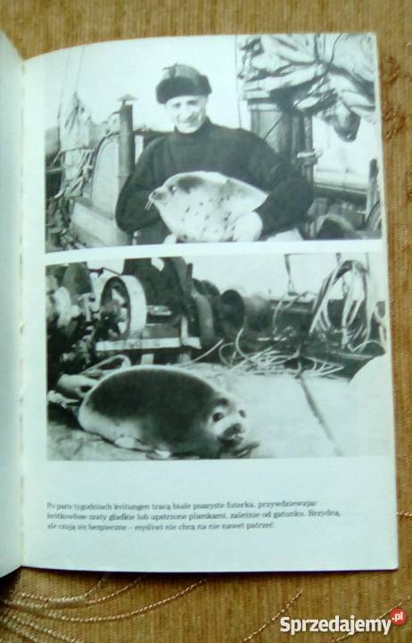 CZY FOKA JEST BIAŁA Czesław CENTKIEWICZ Piszczac sprzedam