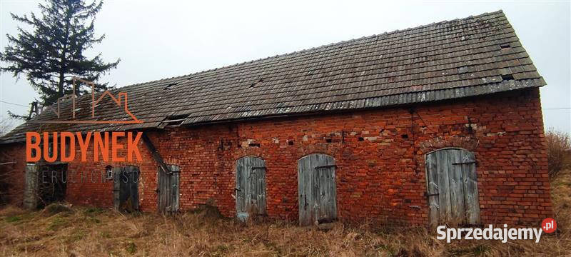 Dom Kowalewiczki Sprzedaż