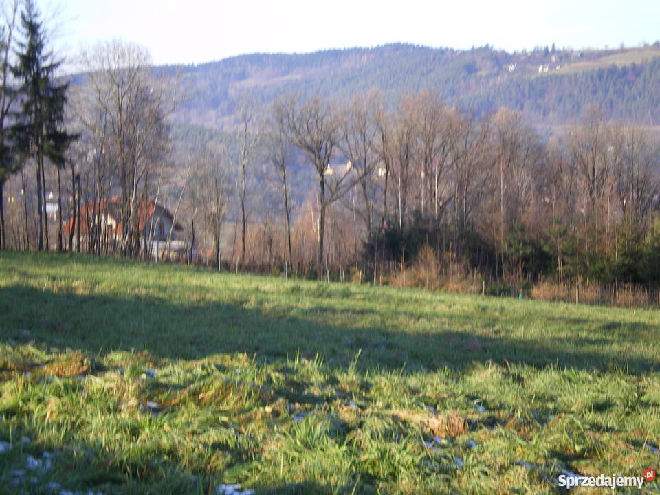DZIAŁKA 16ar LipoweLIMANOWA Grunty i działki Limanowa sprzedam