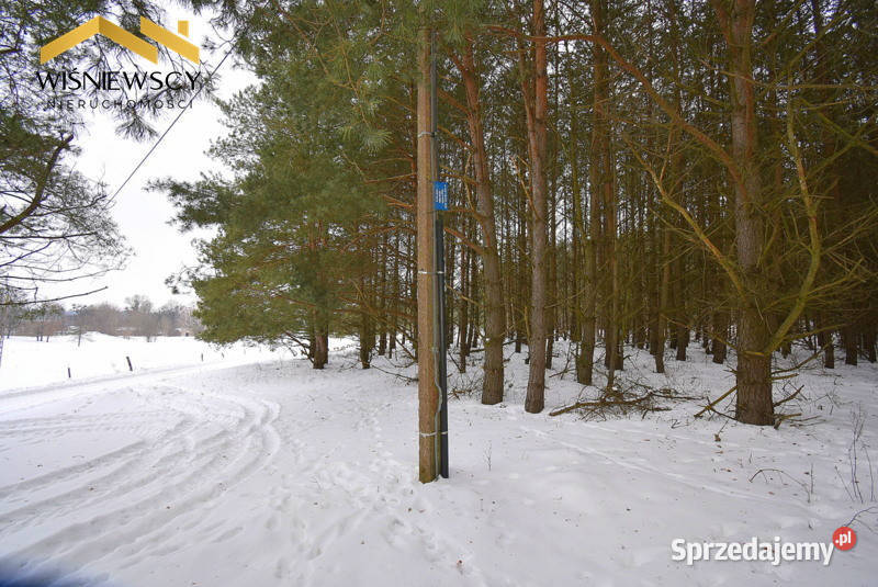 Działka budowlana 3002m2 uzbrojona z lasem Kiersztanowo sprzedam