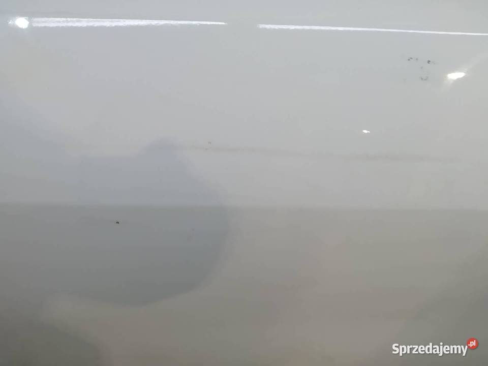 DRZWI LEWE PRZÓD BIAŁE Alfa Romeo Tonale I 2022 osobowe