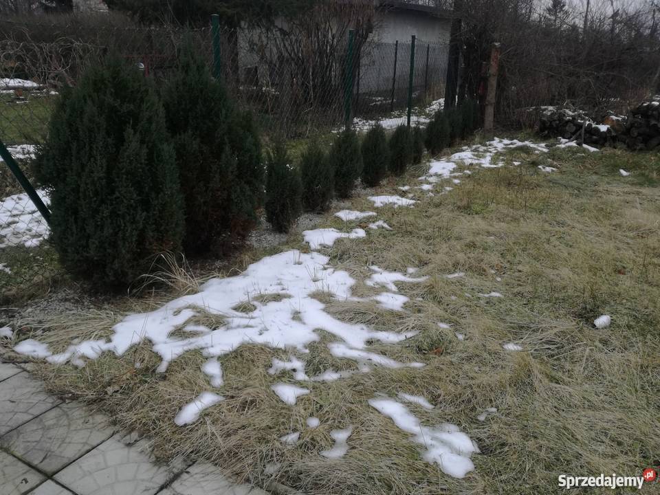 Ogródek działkowy ROD Wiśnia kanalizacja Ruda Śląska