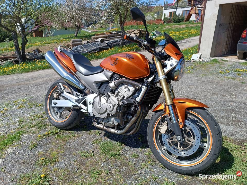 Honda Hornet PC 36 Istebna sprzedam
