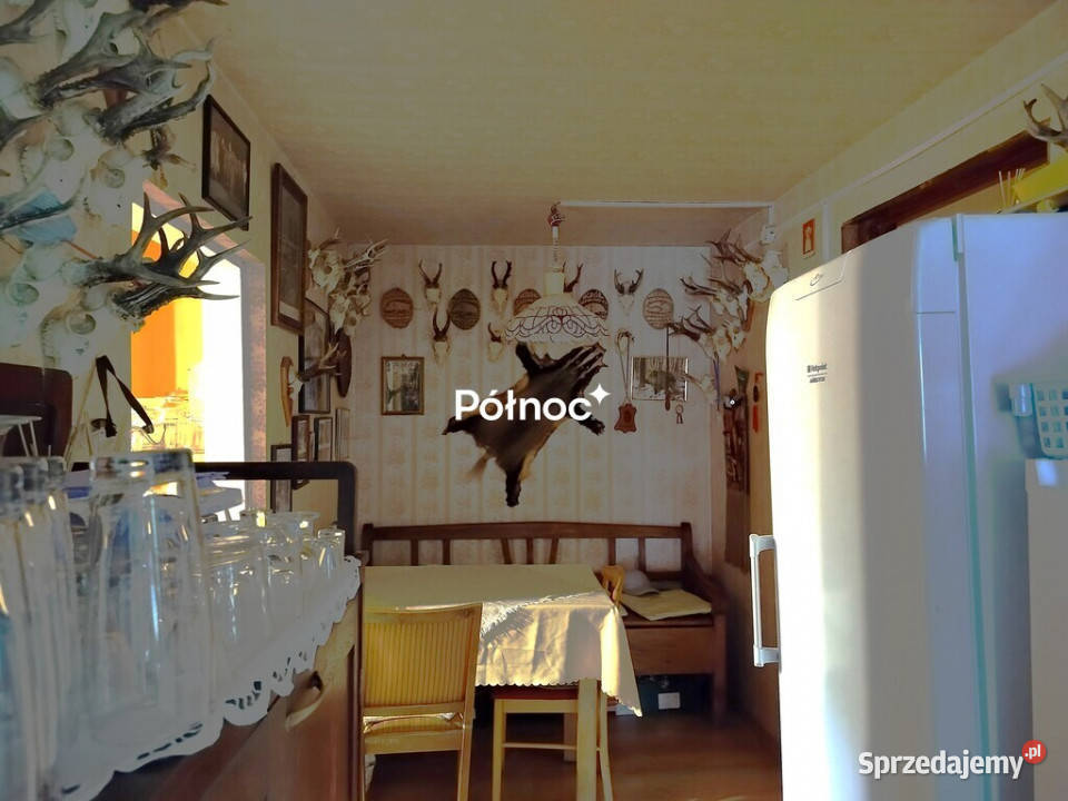 piękne ranczo z łąką i lasem pod HoryńcemZdrojem Dziewięcierz