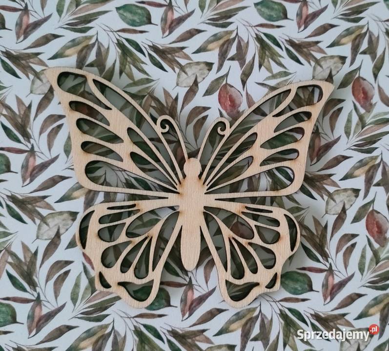 Drewniany Motyl Sklejka Scrapbooking Decoupage Tczew sprzedam