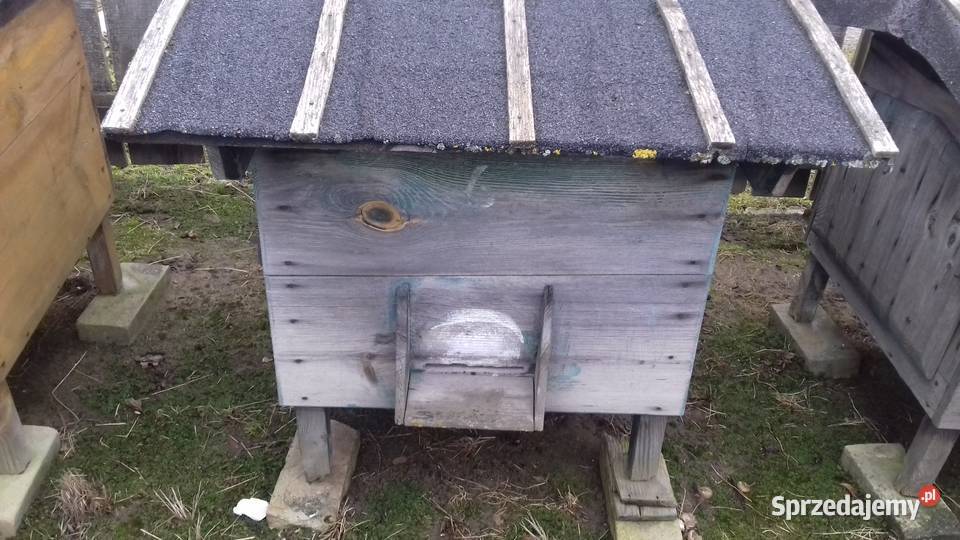 ULE PSZCZÓL Tereszpol-Zygmunty