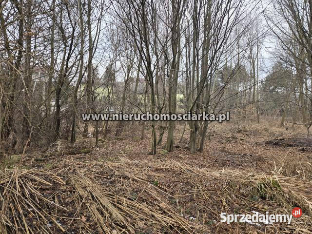 Działka Wodzisław Śląski 2361m2 sprzedam