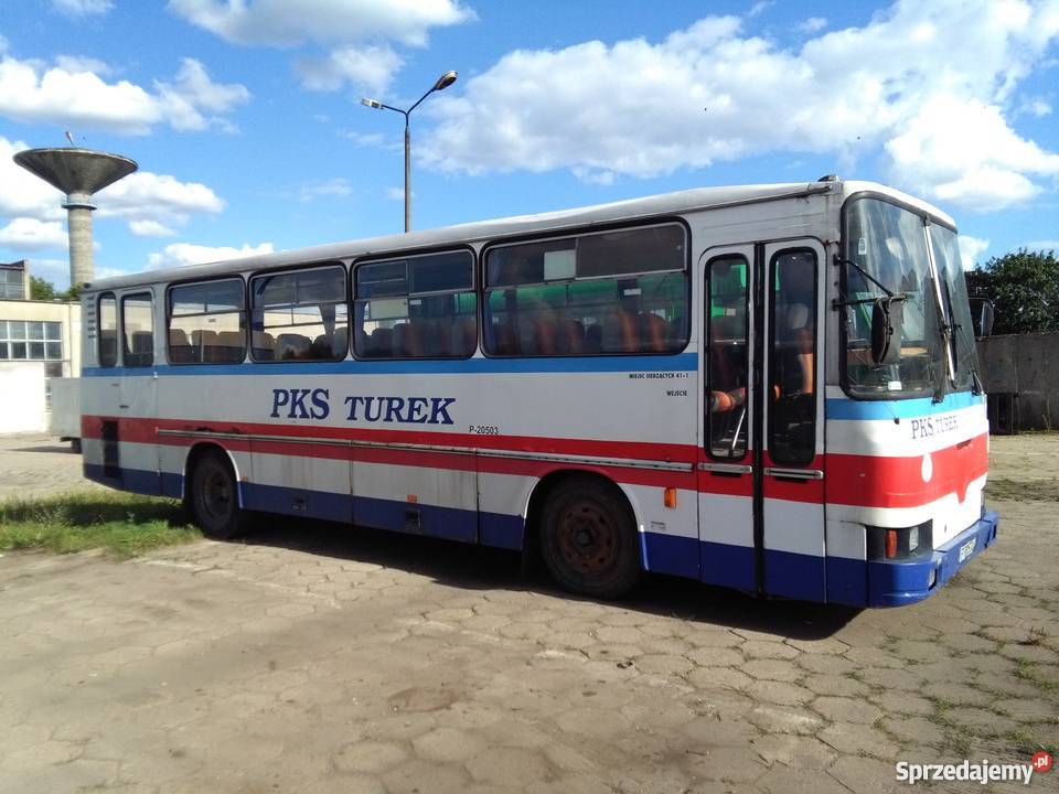 Syndyk sprzeda autobusy nieuszkodzony Turek
