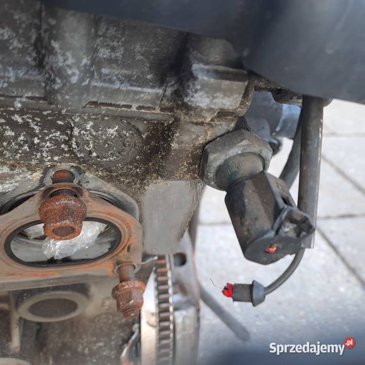 Audi Skoda Volkswagen 14 silnik kompletny kod osobowe sprzedam