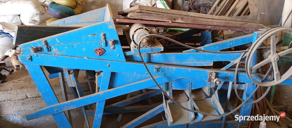 Sortownik do ziemniaków Gloria Przespolew Kościelny sprzedam