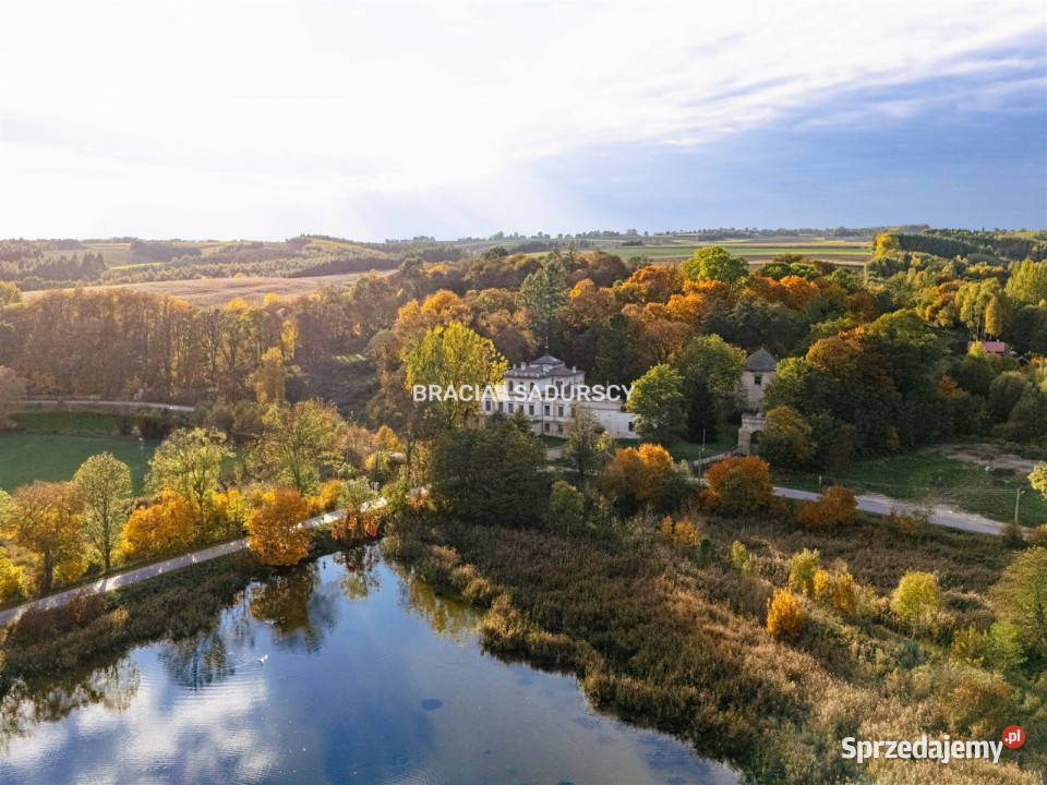 Sprzedam lokal Działoszyce 982m2