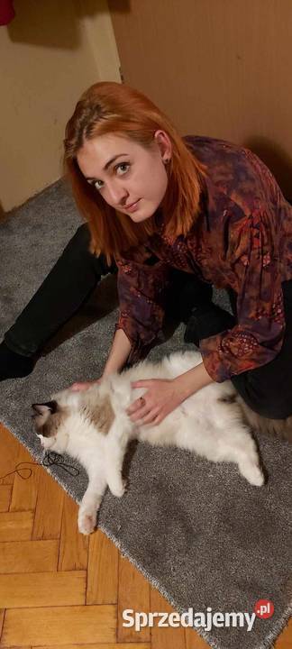 opieka kotem cat sitter Warszawa Ursynów mazowieckie