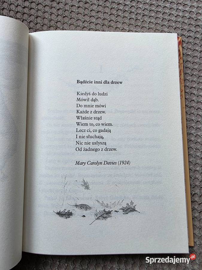 nowa Drzewo życzeń Katherine Applegate Kraków