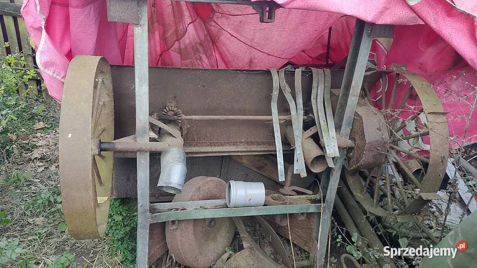 Sadzarka do ziemniaków nieuszkodzony Kluczbork