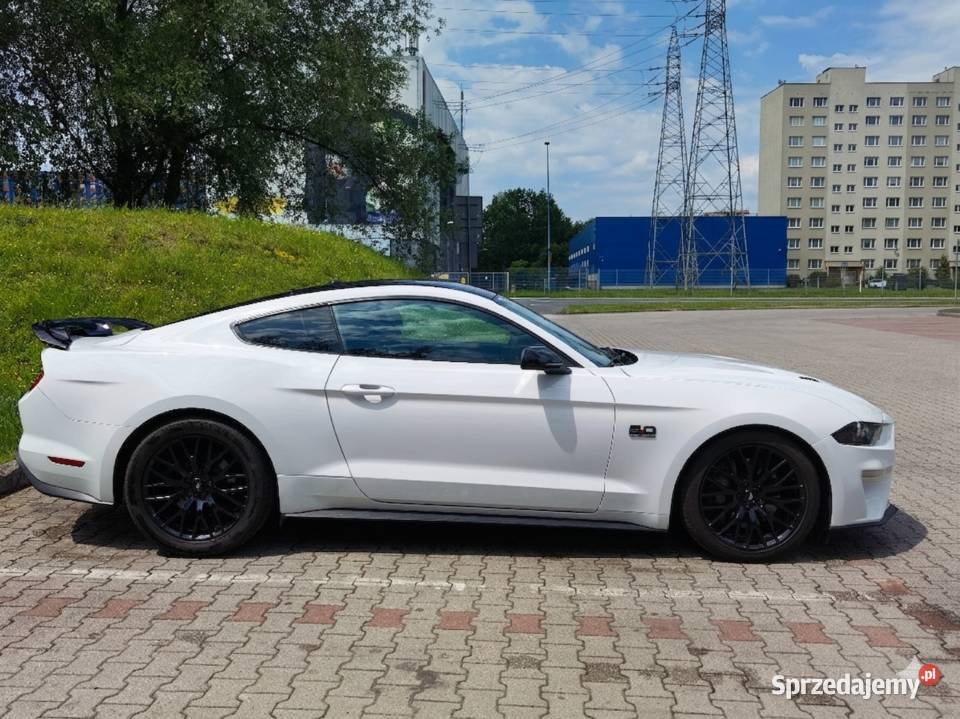 750 ROUSH Ford Performance 2019 Mustang GT 50 V8 lubelskie Tomaszów Lubelski