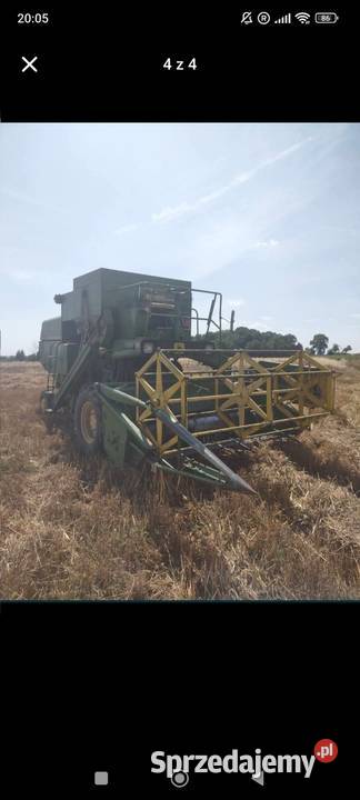 Sprzedam Zięblice sprzedam