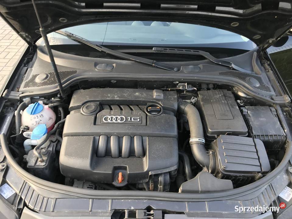 Audi A3 16 MPI 102 z Niemiec trzeci lift serwisowany w ASO Lesznowola