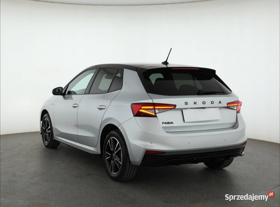 Skoda Fabia 10 TSI przyciemniane szyby Piaseczno