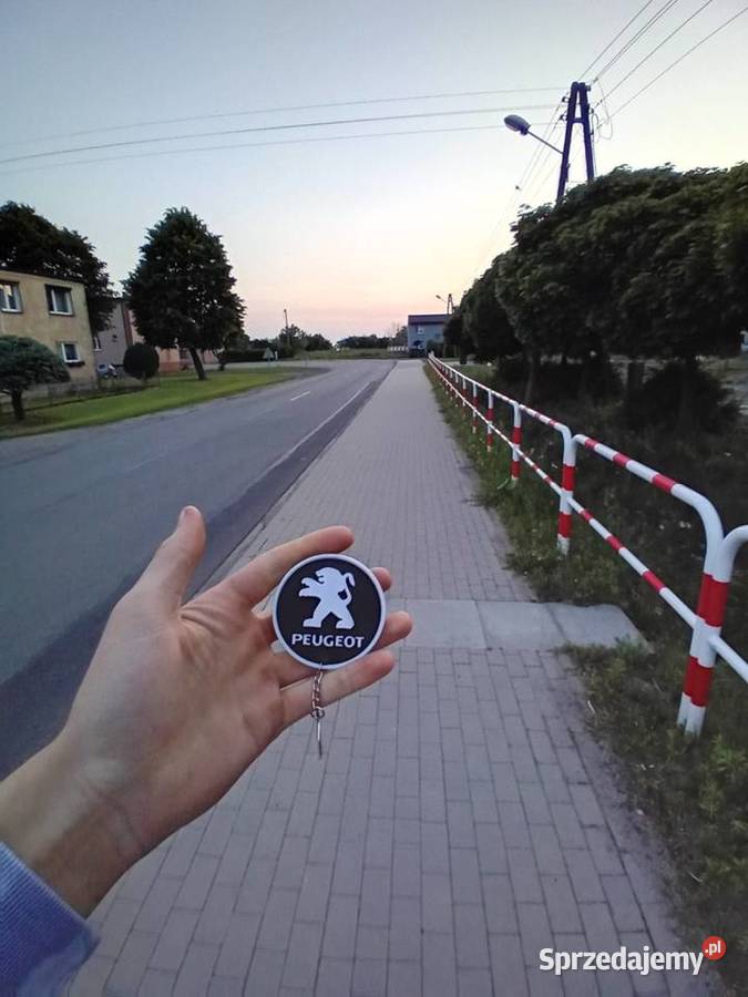 Bryloki peugeot do kluczy Września