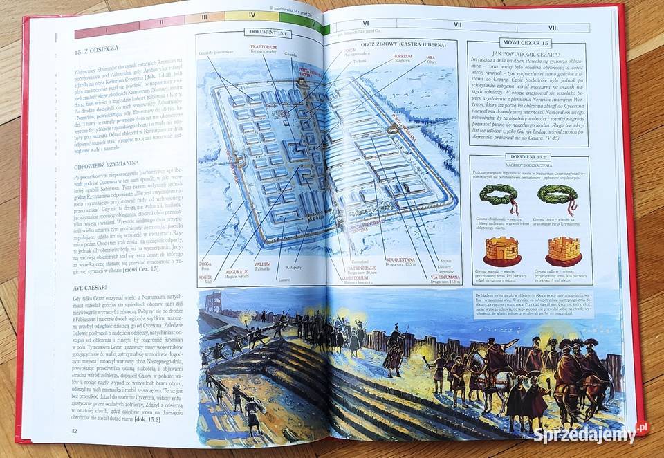 Cezara wojna galijska Aleksander Wojciech Tuchola