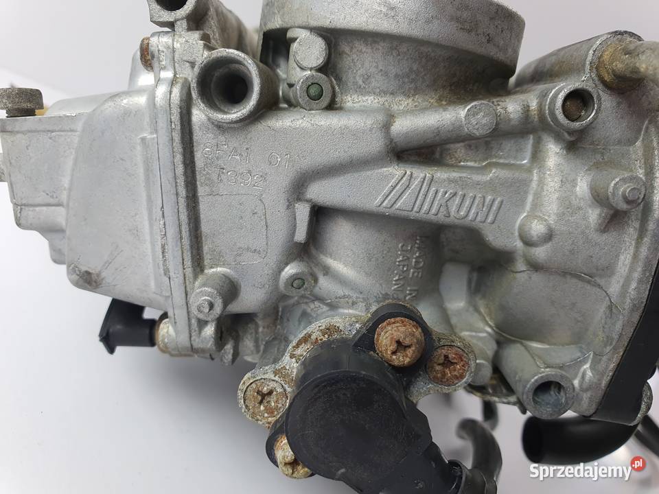 Gaznik Gazniki Yamaha Rx1 Warrior Mountain Apex